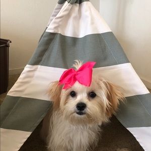 Dog teepee